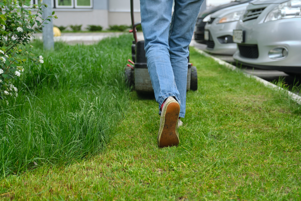 Nemáte čas na jarnú úpravu zelene v okolí firmy? Máme riešenie